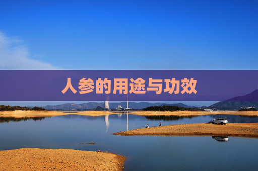 人参的用途与功效