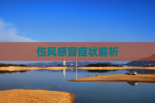 伤风感冒症状解析