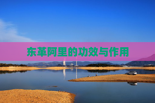 东革阿里的功效与作用