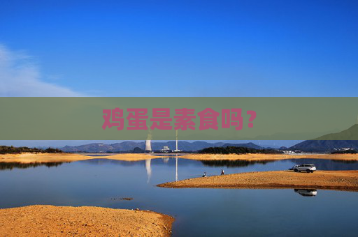 鸡蛋是素食吗？