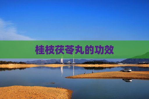 桂枝茯苓丸的功效