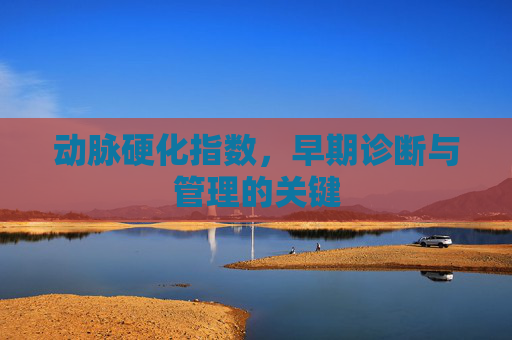 动脉硬化指数，早期诊断与管理的关键