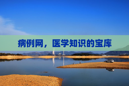 病例网，医学知识的宝库