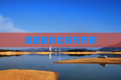 婆婆纳的功效与作用