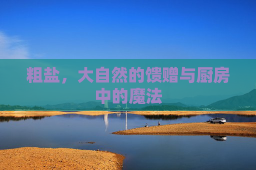 粗盐，大自然的馈赠与厨房中的魔法