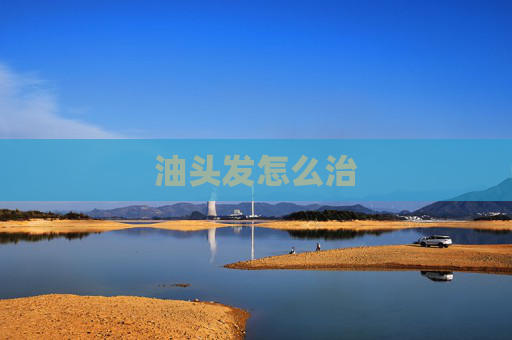 油头发怎么治