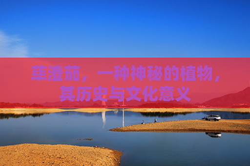 荜澄茄，一种神秘的植物，其历史与文化意义