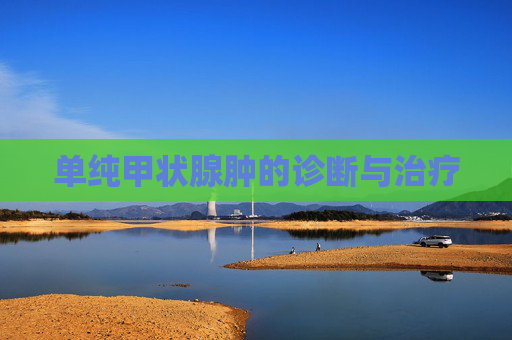 单纯甲状腺肿的诊断与治疗