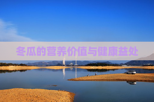 冬瓜的营养价值与健康益处