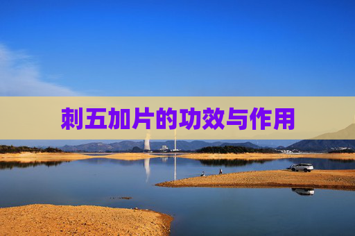刺五加片的功效与作用