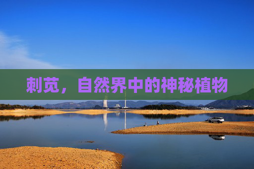 刺苋，自然界中的神秘植物