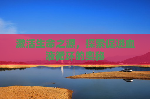 激活生命之源，探索促进血液循环的奥秘