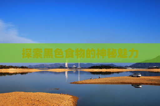 探索黑色食物的神秘魅力
