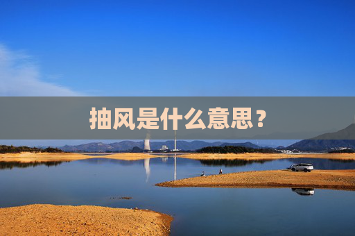 抽风是什么意思？
