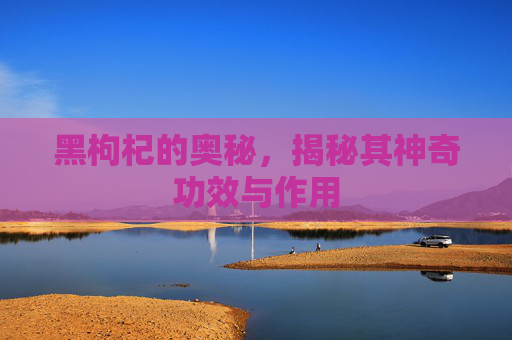黑枸杞的奥秘，揭秘其神奇功效与作用