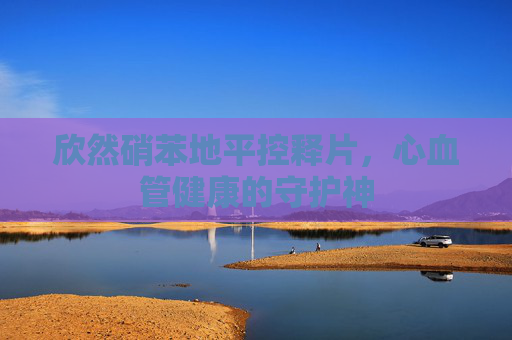 欣然硝苯地平控释片，心血管健康的守护神