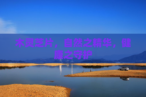木灵芝片，自然之精华，健康之守护