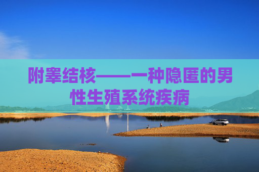 附睾结核——一种隐匿的男性生殖系统疾病