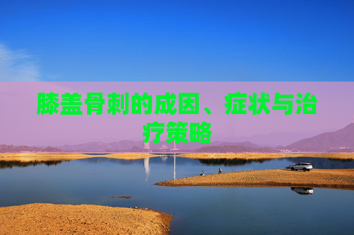 膝盖骨刺的成因、症状与治疗策略