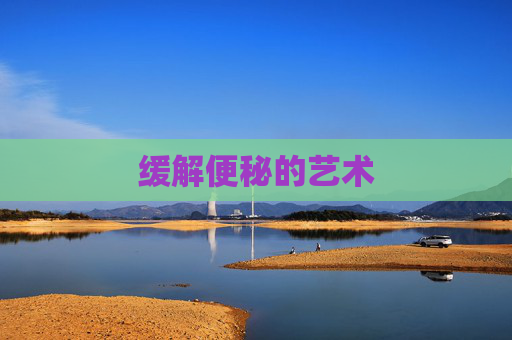 缓解便秘的艺术