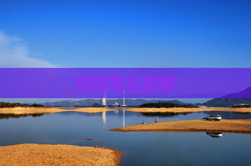 胎停怎么回事