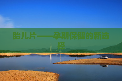 胎儿片——孕期保健的新选择