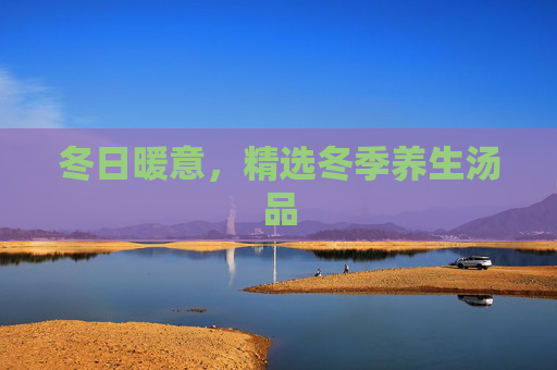 冬日暖意，精选冬季养生汤品