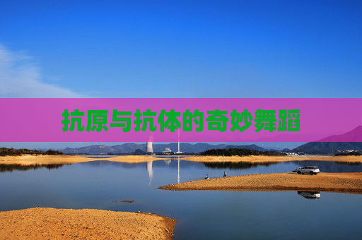 抗原与抗体的奇妙舞蹈