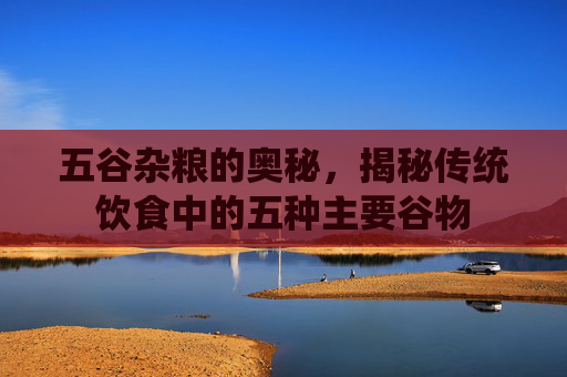 五谷杂粮的奥秘，揭秘传统饮食中的五种主要谷物