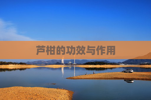 芦柑的功效与作用