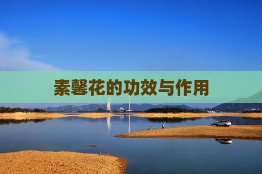 素馨花的功效与作用