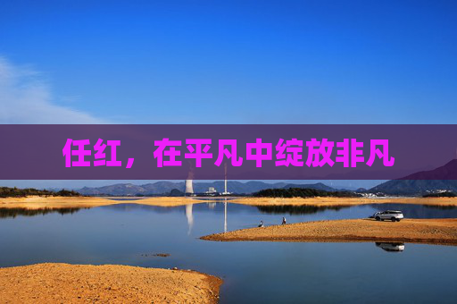 任红，在平凡中绽放非凡