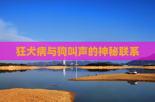 狂犬病与狗叫声的神秘联系