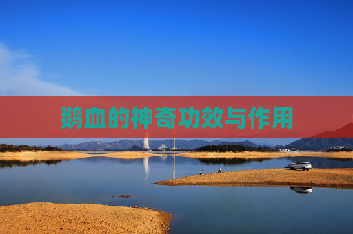 鹅血的神奇功效与作用