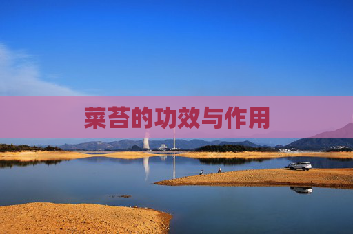 菜苔的功效与作用