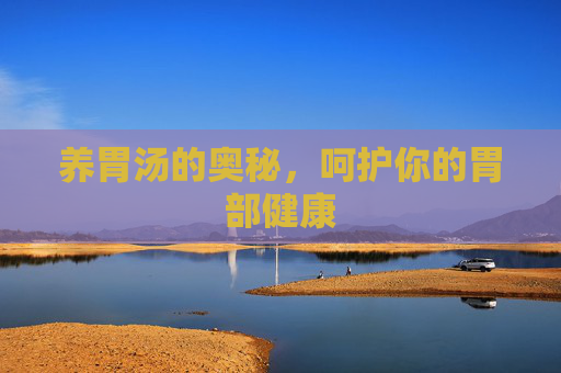 养胃汤的奥秘，呵护你的胃部健康
