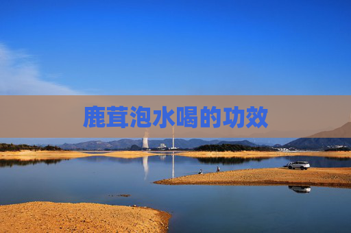 鹿茸泡水喝的功效