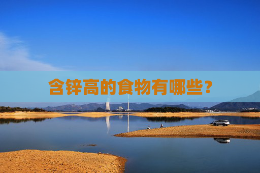 含锌高的食物有哪些？