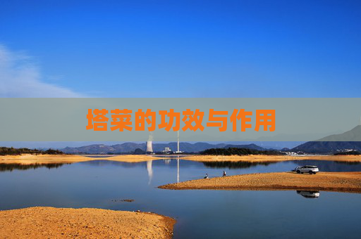 塔菜的功效与作用