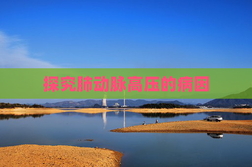探究肺动脉高压的病因