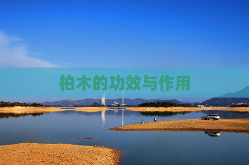 柏木的功效与作用