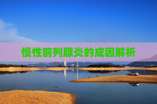 慢性前列腺炎的成因解析