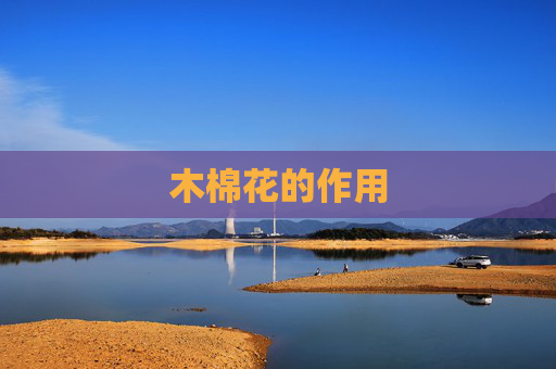 木棉花的作用