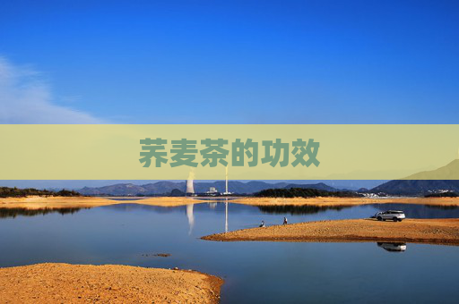 荞麦茶的功效