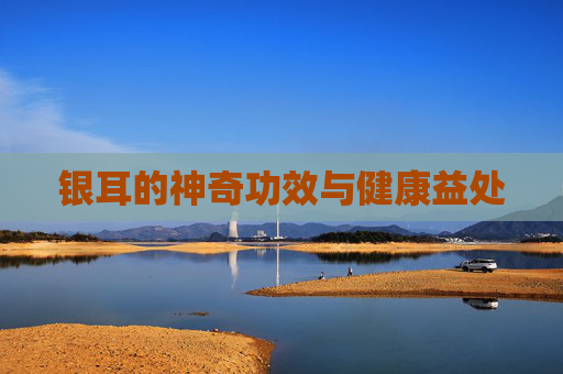 银耳的神奇功效与健康益处