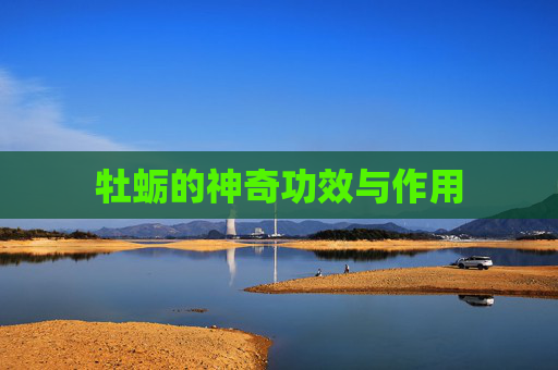 牡蛎的神奇功效与作用