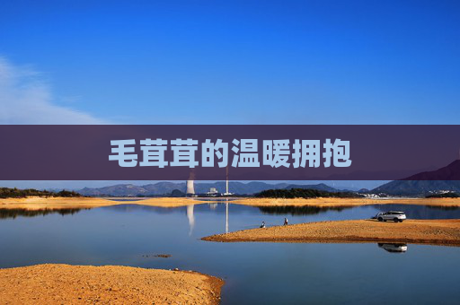 毛茸茸的温暖拥抱