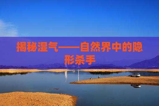 揭秘湿气——自然界中的隐形杀手