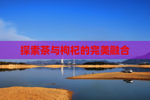 探索茶与枸杞的完美融合