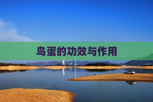 鸟蛋的功效与作用
